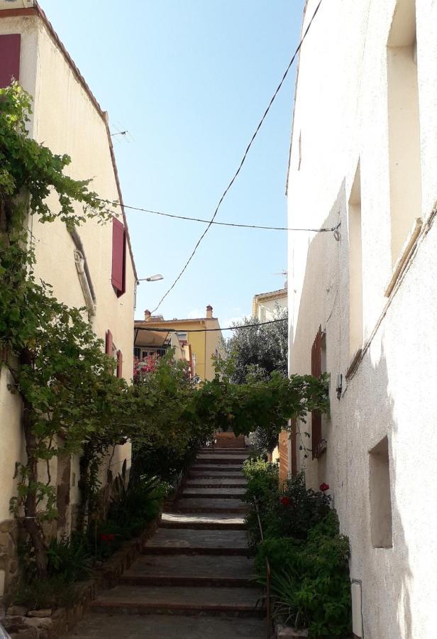 Appartement La grande bleue à Banyuls-sur-Mer Extérieur photo